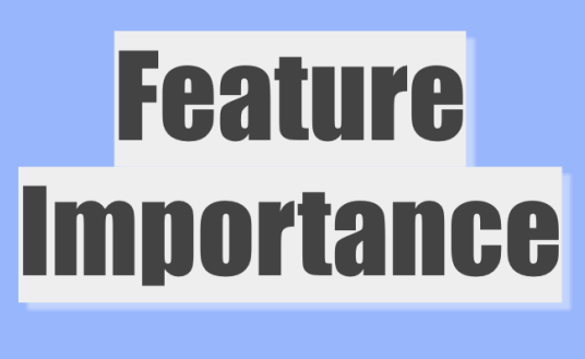 feature importance